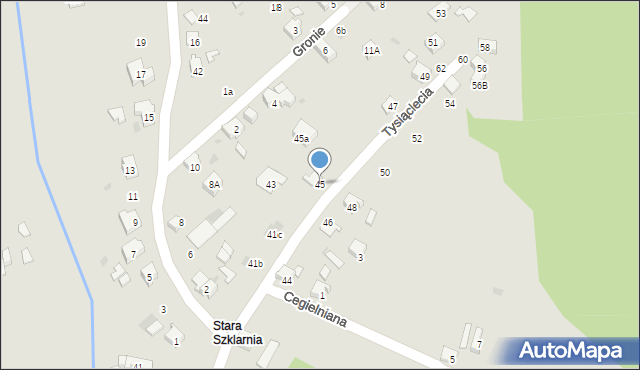 Orzesze, 1000-lecia, 45, mapa Orzesze