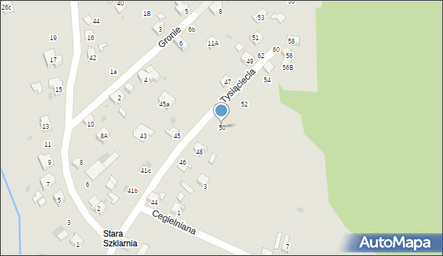 Orzesze, 1000-lecia, 50, mapa Orzesze