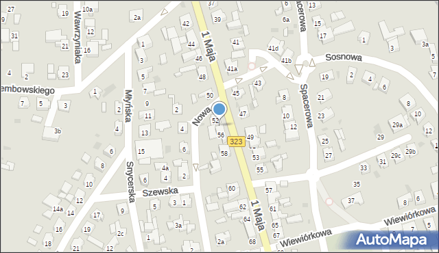 Leszno, 1 Maja, 54, mapa Leszno