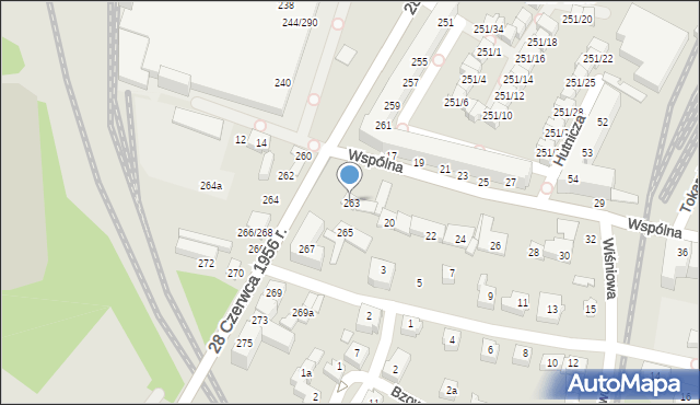 Poznań, 28 Czerwca 1956 r., 263, mapa Poznania