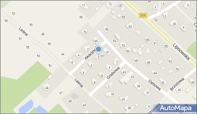 Maszewo Duże, Akacjowa, 1, mapa Maszewo Duże