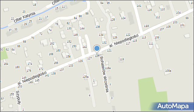 Głogów Małopolski, Aleja Niepodległości, 125, mapa Głogów Małopolski