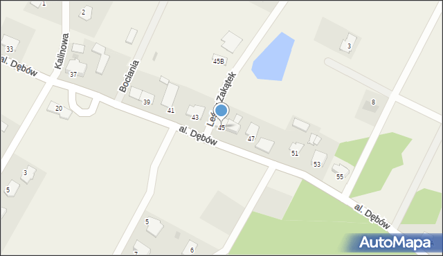 Kopanino, Aleja Dębów, 45, mapa Kopanino