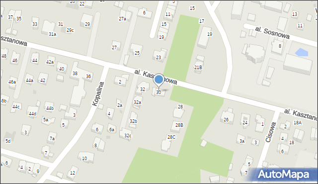 Kraków, Aleja Kasztanowa, 30, mapa Krakowa