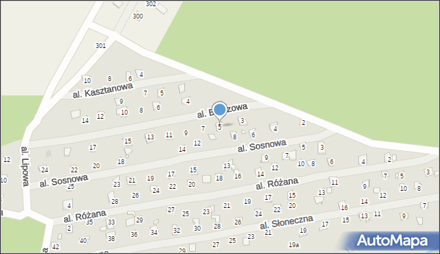 Linin, Aleja Brzozowa, 5, mapa Linin