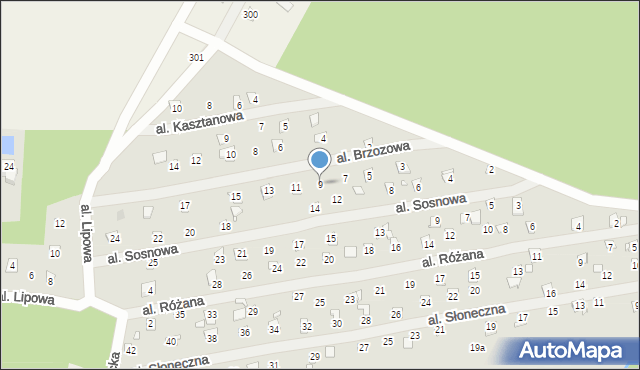 Linin, Aleja Brzozowa, 9, mapa Linin