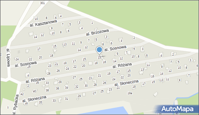 Linin, Aleja Sosnowa, 13, mapa Linin