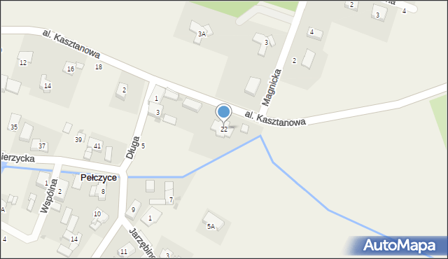 Pełczyce, Aleja Kasztanowa, 22, mapa Pełczyce