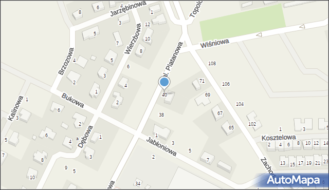 Psarskie, Aleja Platanowa, 40, mapa Psarskie