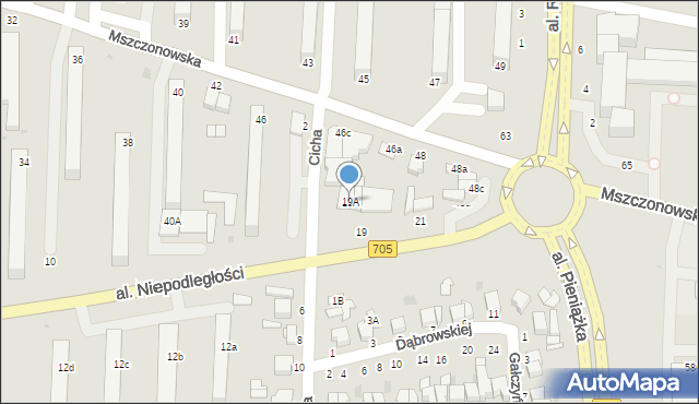 Skierniewice, Aleja Niepodległości, 19A, mapa Skierniewic