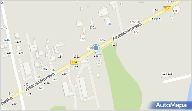 Zgierz, Aleksandrowska, 133, mapa Zgierz