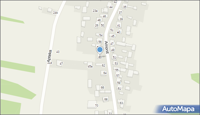 Podlesice, Amonit, 60, mapa Podlesice