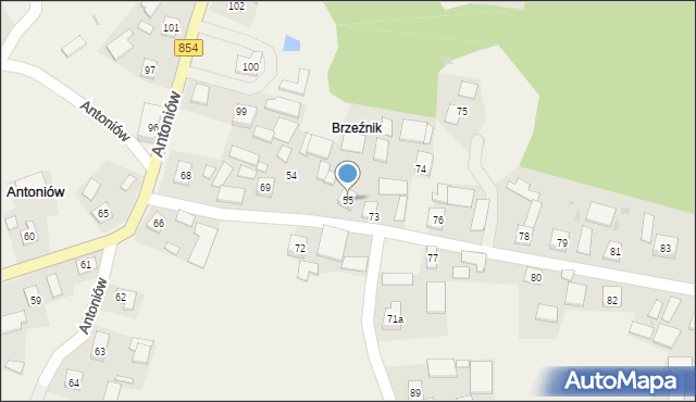 Antoniów, Antoniów, 55, mapa Antoniów