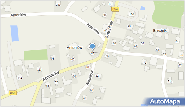 Antoniów, Antoniów, 65, mapa Antoniów
