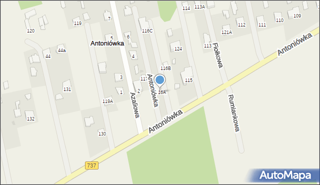 Antoniówka, Antoniówka, 116A, mapa Antoniówka
