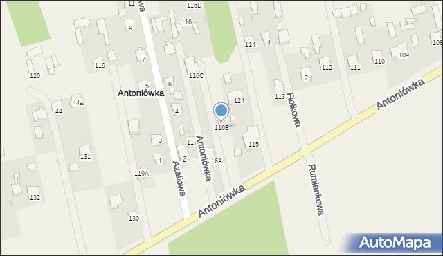 Antoniówka, Antoniówka, 116B, mapa Antoniówka