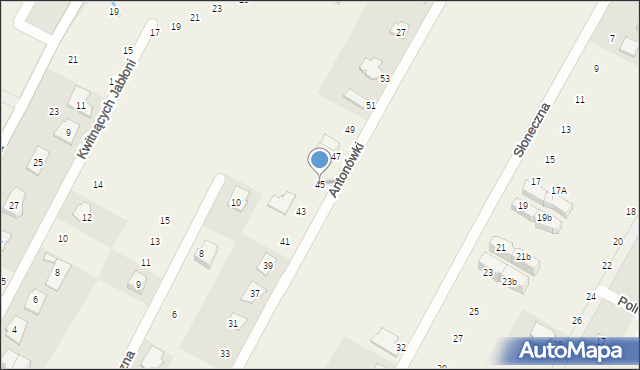 Baszkówka, Antonówki, 45, mapa Baszkówka