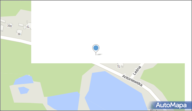 Skoki, Antoniewska, 47, mapa Skoki