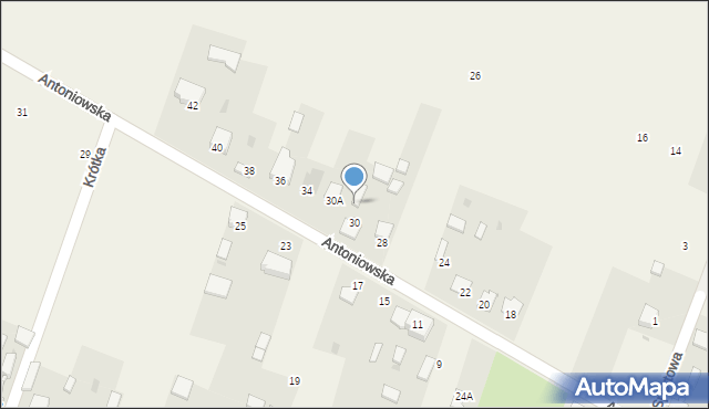Widzów, Antoniowska, 30b, mapa Widzów