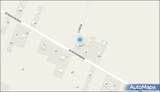 Widzów, Antoniowska, 44a, mapa Widzów