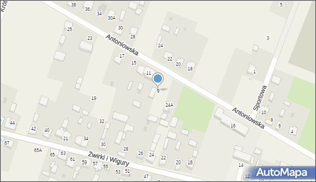 Widzów, Antoniowska, 9, mapa Widzów