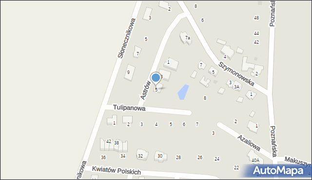 Wołczyn, Astrów, 5, mapa Wołczyn