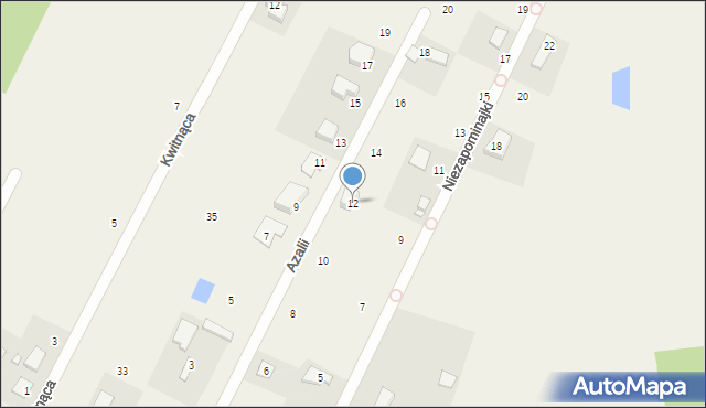 Wielgolas Brzeziński, Azalii, 12, mapa Wielgolas Brzeziński