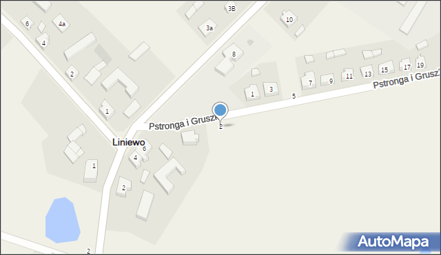 Liniewo, B. Pstronga i W. Gruszki, 2, mapa Liniewo