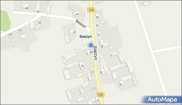 Baszyn, Baszyn, 40, mapa Baszyn