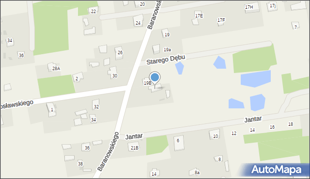 Budy-Grzybek, Baranowskiego, ks., 21, mapa Budy-Grzybek