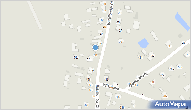 Hrubieszów, Batalionów Chłopskich, 50, mapa Hrubieszów