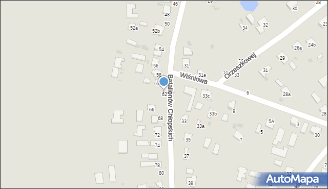 Hrubieszów, Batalionów Chłopskich, 62, mapa Hrubieszów