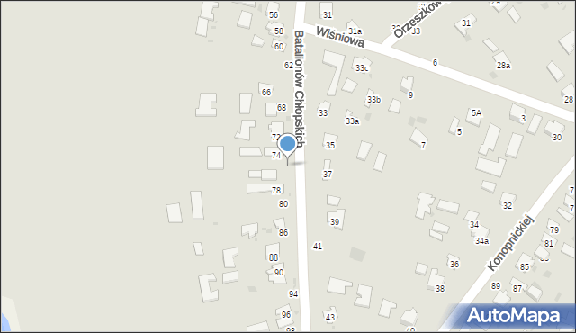 Hrubieszów, Batalionów Chłopskich, 76, mapa Hrubieszów