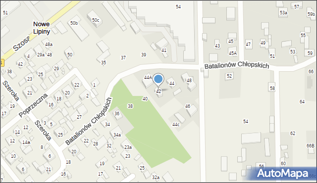 Nowe Lipiny, Batalionów Chłopskich, 42, mapa Nowe Lipiny