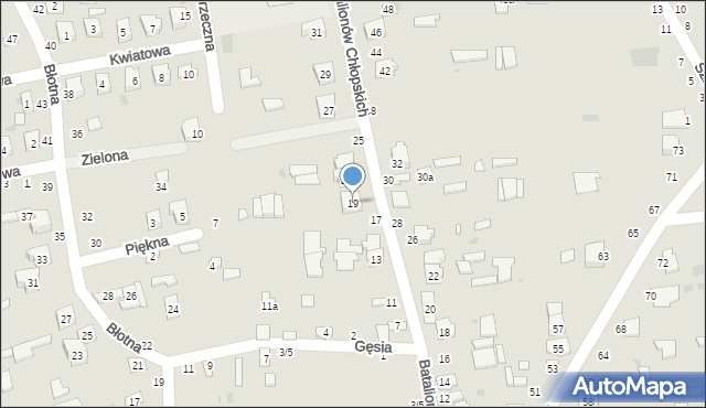 Ostrów Lubelski, Batalionów Chłopskich, 19, mapa Ostrów Lubelski