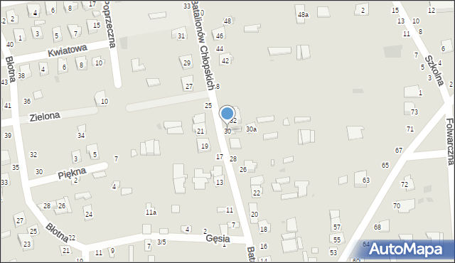 Ostrów Lubelski, Batalionów Chłopskich, 30, mapa Ostrów Lubelski