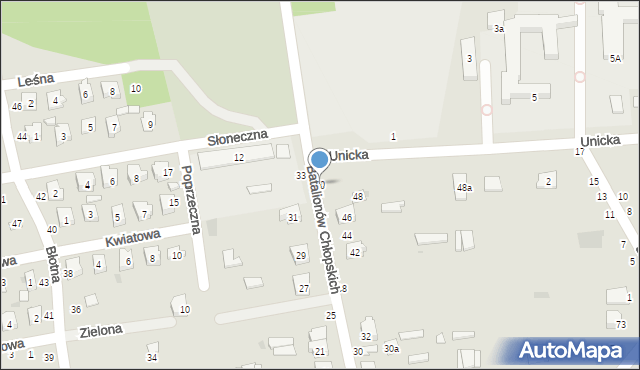 Ostrów Lubelski, Batalionów Chłopskich, 50, mapa Ostrów Lubelski