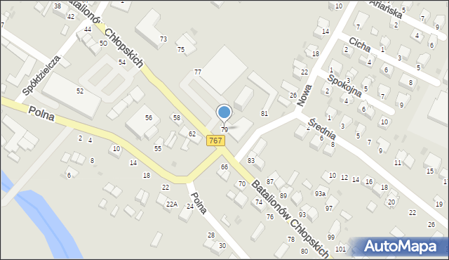 Pińczów, Batalionów Chłopskich, 79, mapa Pińczów