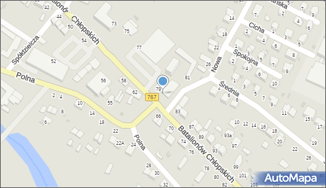 Pińczów, Batalionów Chłopskich, 79a, mapa Pińczów