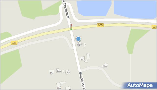 Pszczyna, Batalionów Chłopskich, 54, mapa Pszczyny