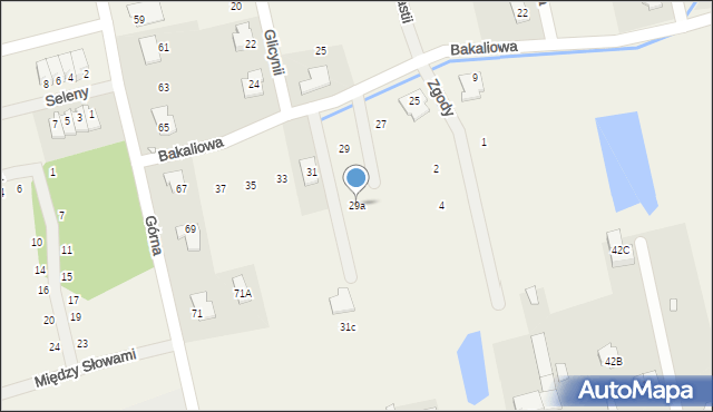 Rusiec, Bakaliowa, 29a, mapa Rusiec