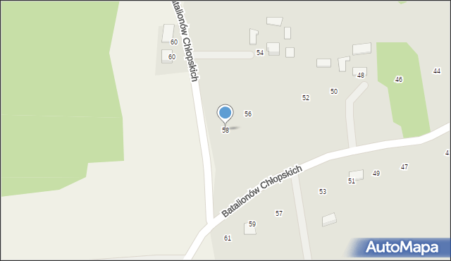 Ryglice, Batalionów Chłopskich, 58, mapa Ryglice