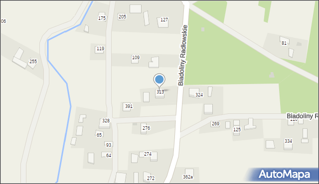 Biadoliny Radłowskie, Biadoliny Radłowskie, 313, mapa Biadoliny Radłowskie