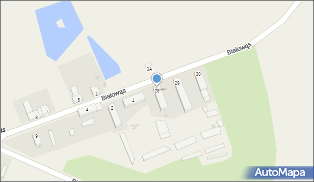 Białowąs, Białowąs, 28, mapa Białowąs