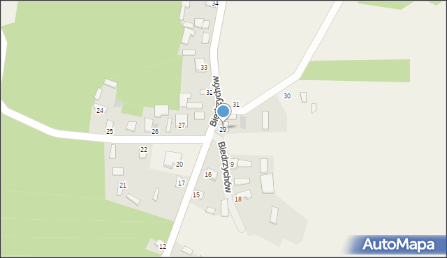 Biedrzychów, Biedrzychów, 29, mapa Biedrzychów
