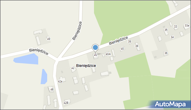 Bieniędzice, Bieniędzice, 41, mapa Bieniędzice