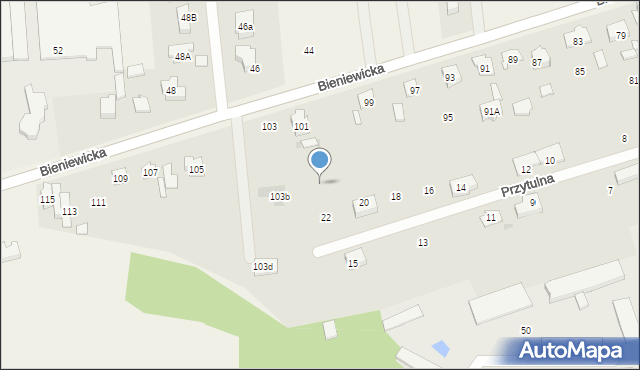 Błonie, Bieniewicka, 101a, mapa Błonie