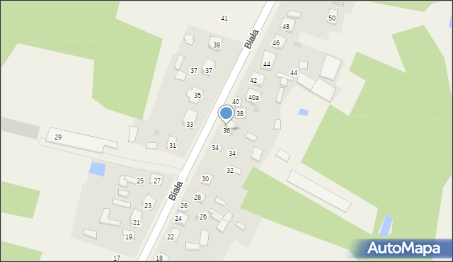 Brzeziny Nowe, Biała, 36, mapa Brzeziny Nowe