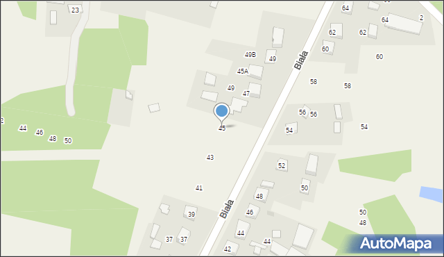 Brzeziny Nowe, Biała, 45, mapa Brzeziny Nowe