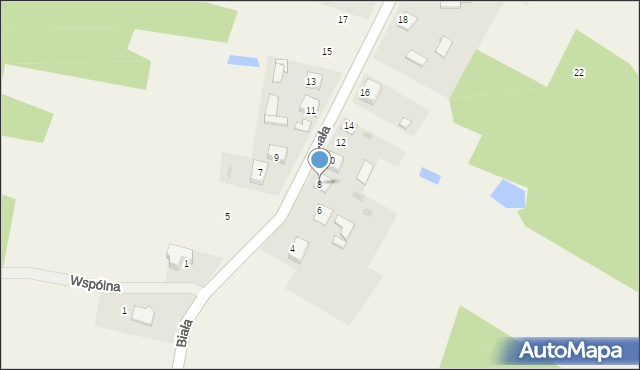 Brzeziny Nowe, Biała, 8, mapa Brzeziny Nowe